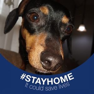 Meet your Posher, Catherine